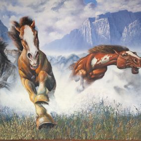 Mustang 300x200cm